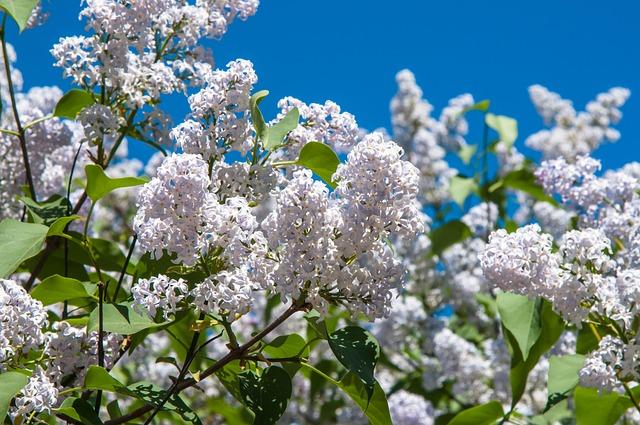Helsinki Escapade: Discover the Hidden Gems, Culture, and Cuisine of Finland's Vibrant Capital